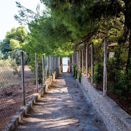 Hotel Maria's House 3*
