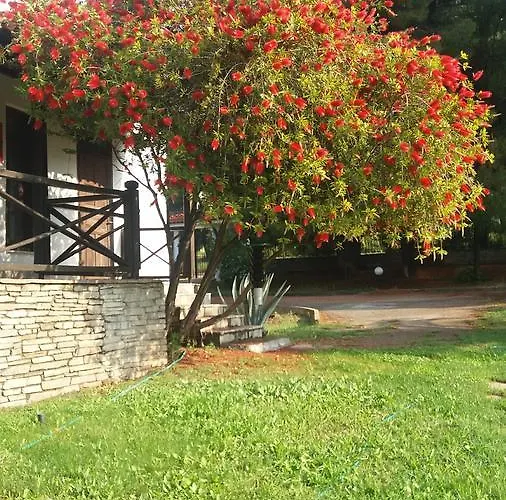Maria's House 3*